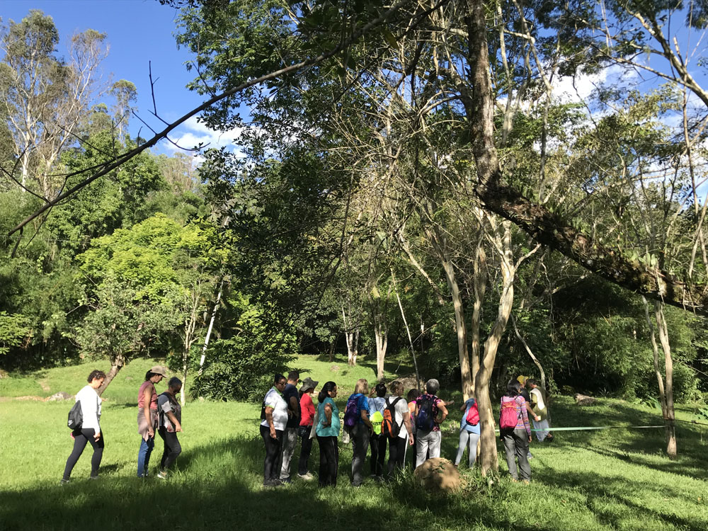 Nova Gokula, Templo Hinduísta Hare Krishna - Fazenda Nova G…