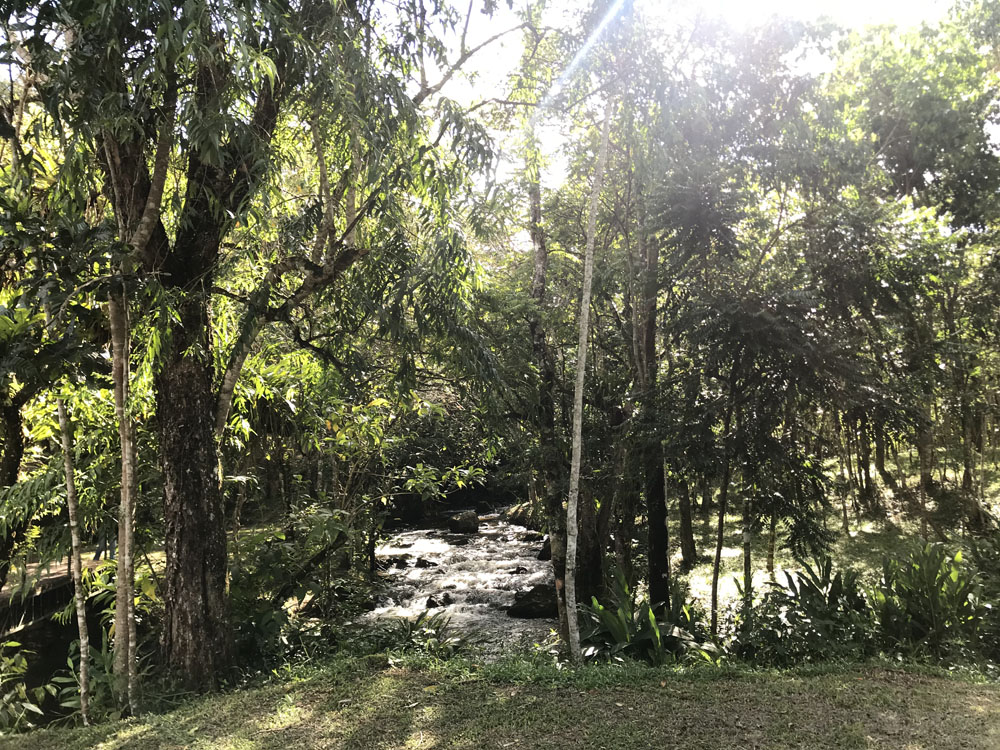 Fazenda Nova Gokula - Pindamonhangaba 