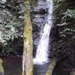 Cachoeira do Tronco
