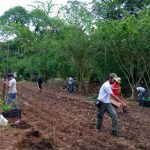 Apta Vale Paraiba Fitotecnia Turismo Cientifico 33