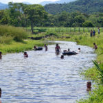 Quiosque Beira Rio 19