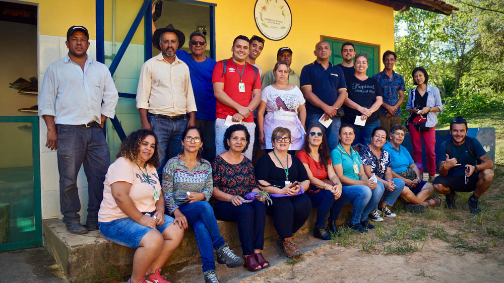 Essência da Bocaina, Fazenda Pingo no i