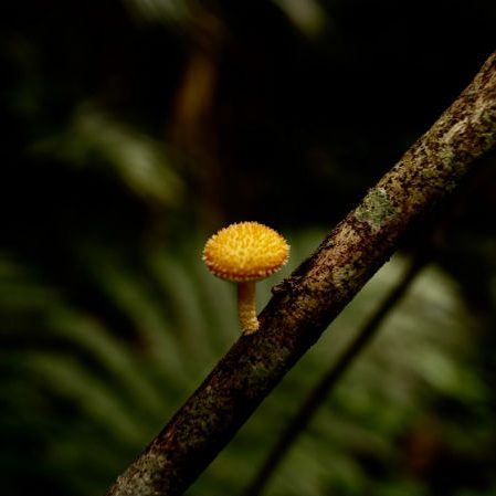 Parque Natural do Trabiju Fotografia 33